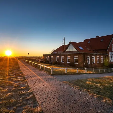 Appartementhaus Bracht - Puffin Lejlighed
