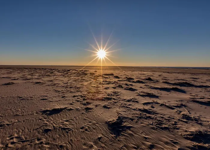 Appartementhaus Bracht - Puffin